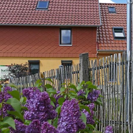 Hainich-Zeit Rodeberg Zewnętrze zdjęcie