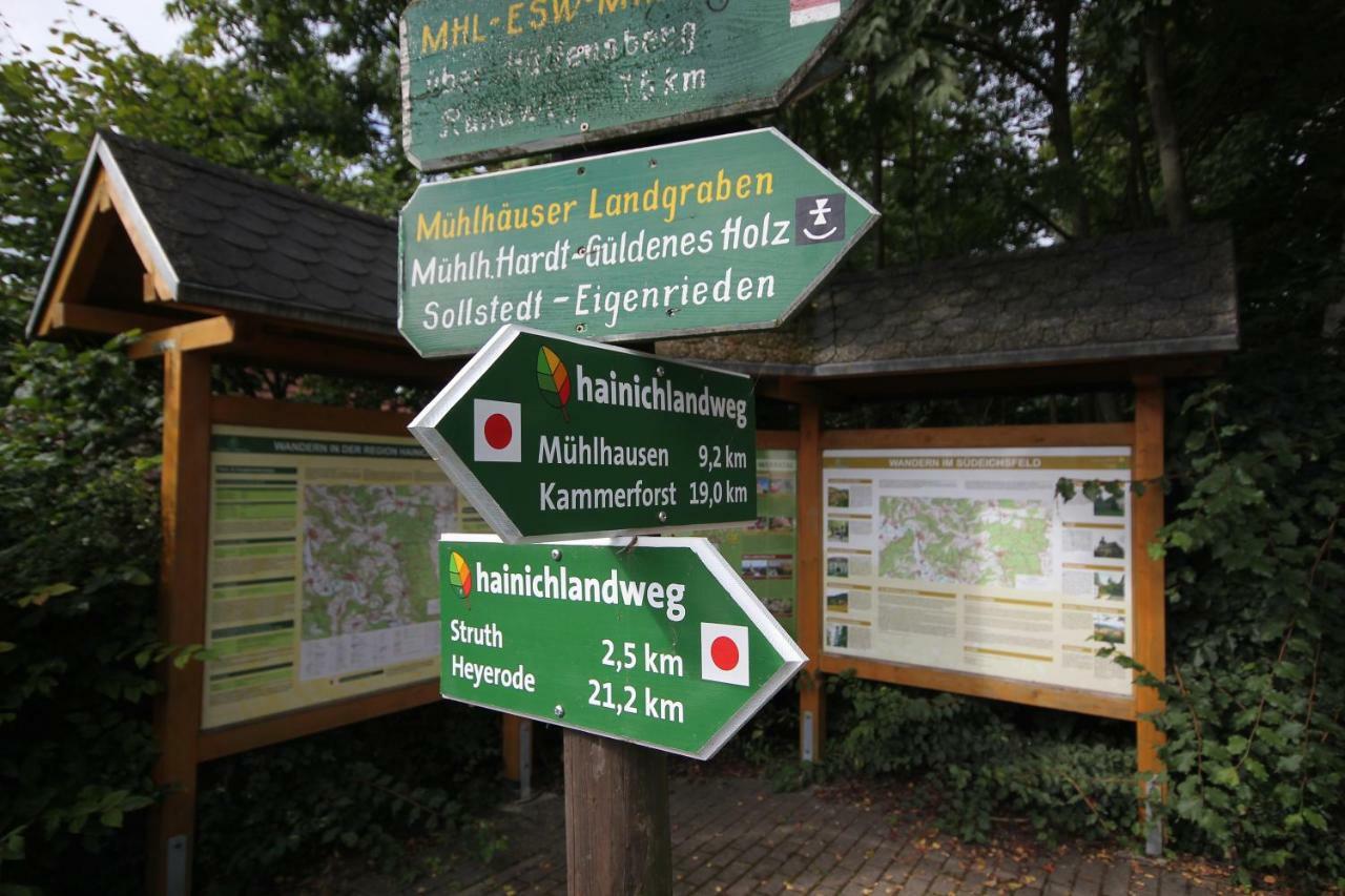 Hainich-Zeit Rodeberg Zewnętrze zdjęcie
