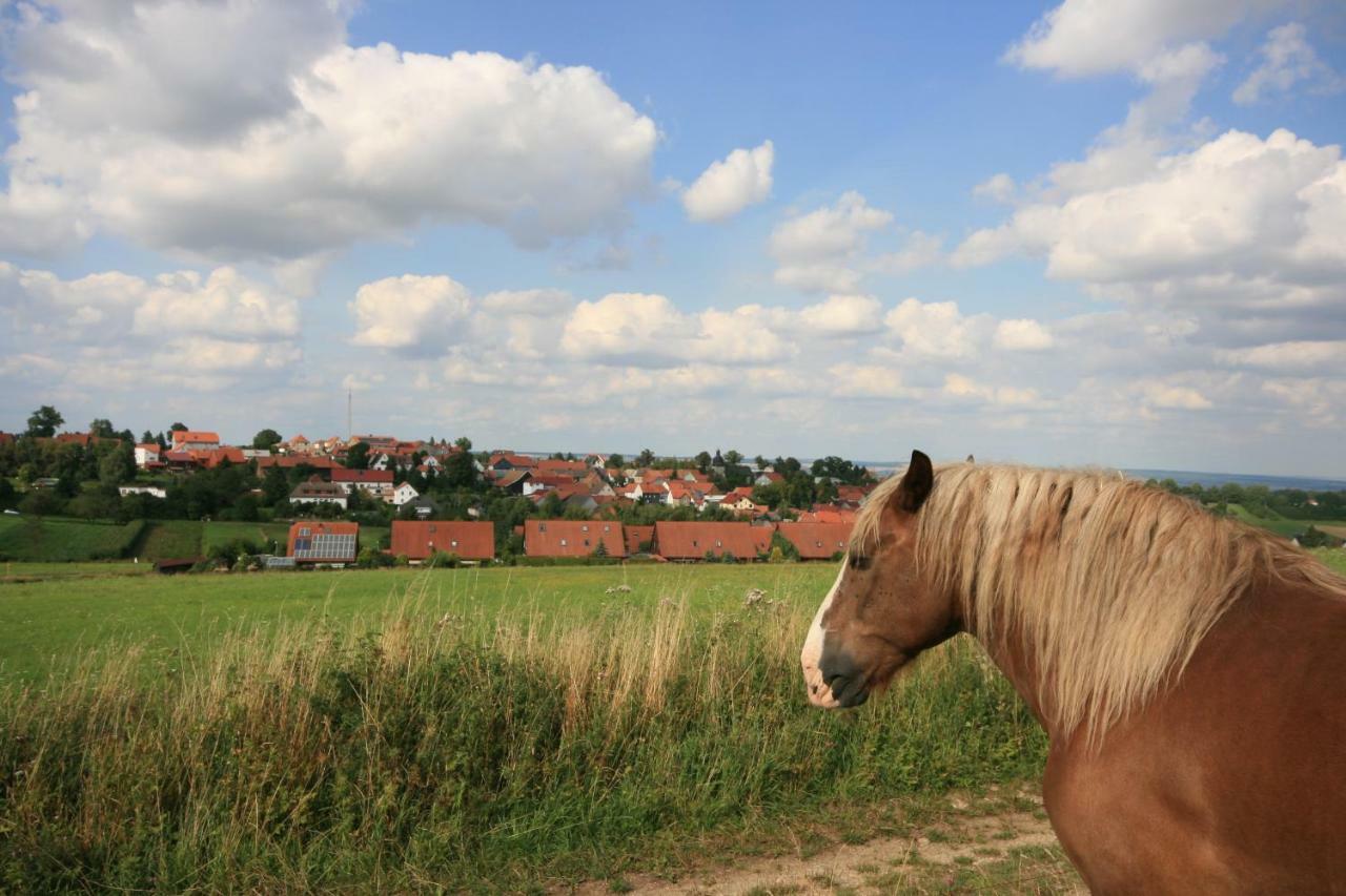 Hainich-Zeit Rodeberg Zewnętrze zdjęcie